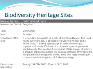 Biodiversity Heritage Sites
Name of the Site     Nallur Tamarind Grove
Name of the District Bengaluru

Taluk               Devanahalli
Area                54 acres
Importance of the   It is popularly believed to be a relic of the Chola Dynasty that ruled
area                nearly 800 years ago, is spectacle of awesome wonder and a
                    freakish site. This BHS spread over 54 acres comprising a
                    population of nearly 300 trees, is a picture of dynamic pattern of
                    plant diversity. The significant component of this popular structure is
                    a group of old plants standing like ageless sentinels, firmly rooted to
                    the ground with their gigantic trunks, along with large picturesque
                    crowns spread very high and aloft like open wings.


Government          Aaapaji 154 ENV 2006, B'lore dt.24.01.2007
Notification
 