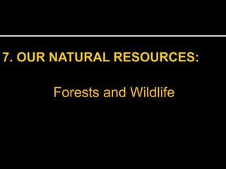 Forests and Wildlife
 