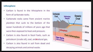 Our nature, our responsibility