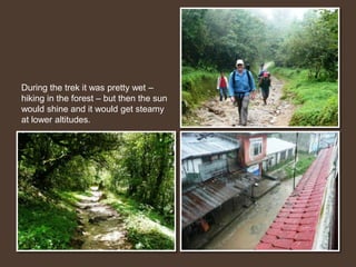 The first day of the trek we climbed 1200 metres through endless steps and forests – seeing everything from gigantic  slugs to waterfalls and birds.