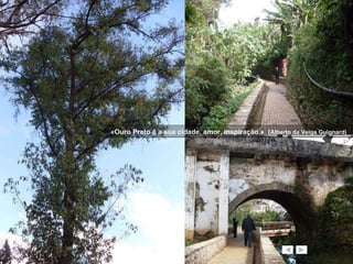«Ouro Preto é a sua cidade, amor, inspiração.»  ( Alberto da Veiga Guignard) 