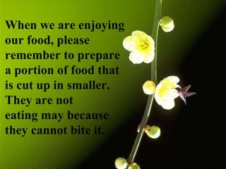 When we are enjoying our food, please remember to prepare a portion of food that is cut up in smaller. They are not  eating may because they cannot bite it. 
