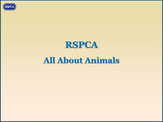 RSPCA
All About Animals
 