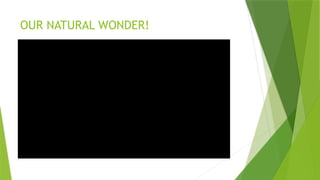 OUR NATURAL WONDER!
 
