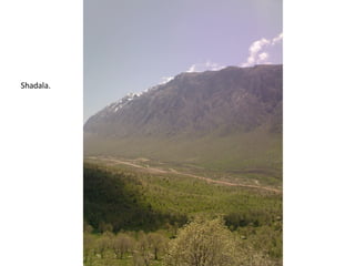 Shadala.