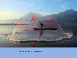 Pêche au filet en Indonésie 