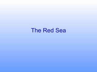 The Red Sea 