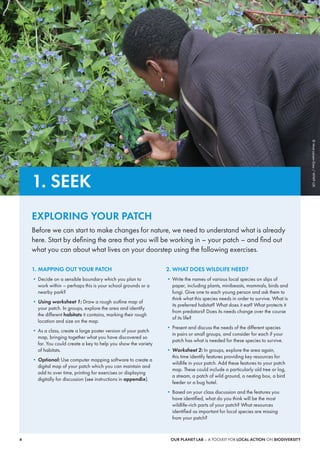 Image showcasing A toolkit for local action on biodiversity | PDF