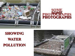 SOME
PHOTOGRAPHS
SHOWING
WATER
POLLUTION
SOME
PHOTOGRAPHS
SOME
PHOTOGRAPHS
SHOWING
WATER
POLLUTION
SOME
PHOTOGRAPHS
SHOWING
WATER
POLLUTION
SOME
PHOTOGRAPHS
 