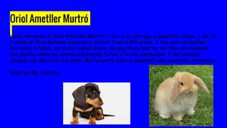 Oriol Ametller Murtró
Hello, my name is Oriol Ametller Murtró. I live in La Garriga, a beautiful village. I am 13.
I study at Vil·la Romana Secondary School. I am in 8th grade. I live with my mother,
her name is Núria, my sister called Maria, my dog Huma and my cat Kika. My hobbies
are playing computer games and playing futsal, I'm the goalkeeper. I like animals,
because my dad lives in a farm. My favourite food is spaghetti and macaronis carbonara.
Good by! My friend;).
 