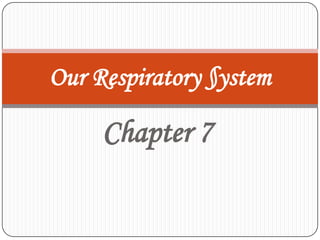 Chapter 7 Our Respiratory §ystem 