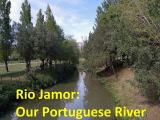 Rio Jamor: Our Portuguese River 
