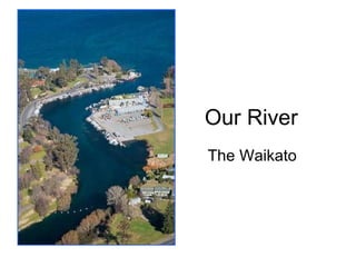 Our River The Waikato 