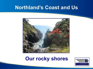 Northland’s Coast and Us
Our rocky shores
Matai Bay
Taiharuru
 