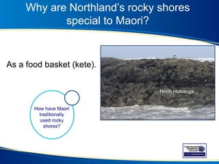 Why are Northland’s rocky shores
special to Maori?
As a food basket (kete).
How have Maori
traditionally
used rocky
shores?
North Hokianga
 