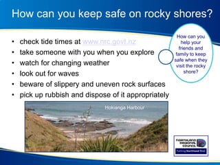 How can you keep safe on rocky shores?
• check tide times at www.nrc.govt.nz
• take someone with you when you explore
• watch for changing weather
• look out for waves
• beware of slippery and uneven rock surfaces
• pick up rubbish and dispose of it appropriately
How can you
help your
friends and
family to keep
safe when they
visit the rocky
shore?
Hokianga Harbour
 