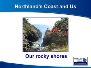 Northland’s Coast and Us
Our rocky shores
Taiharuru
 