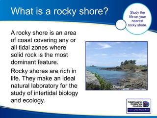 What is a rocky shore?
A rocky shore is an area
of coast covering any or
all tidal zones where
solid rock is the most
dominant feature.
Rocky shores are rich in
life. They make an ideal
natural laboratory for the
study of intertidal biology
and ecology.
Oakura
Study the
life on your
nearest
rocky shore.
 
