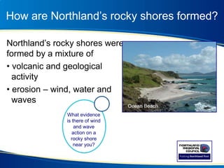 How are Northland’s rocky shores formed?
Northland’s rocky shores were
formed by a mixture of
• volcanic and geological
activity
• erosion – wind, water and
waves
What evidence
is there of wind
and wave
action on a
rocky shore
near you?
Ocean Beach
 
