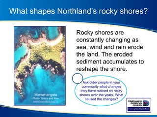 What shapes Northland’s rocky shores?
Rocky shores are
constantly changing as
sea, wind and rain erode
the land. The eroded
sediment accumulates to
reshape the shore.
Mimiwhangata
Photo: Grace and Kerr
www.marinenz.org.nz
Ask older people in your
community what changes
they have noticed on rocky
shores over the years. What
caused the changes?
 