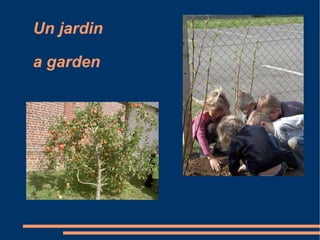 Un jardin a garden 
