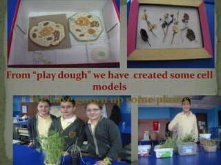 From “play dough” we have created some cell
                  models
     We have grown up some plants
 