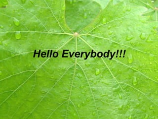 Hello Everybody!!!
 