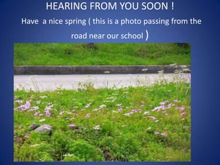 HEARING FROM YOU SOON !
Have a nice spring ( this is a photo passing from the
road near our school )
 