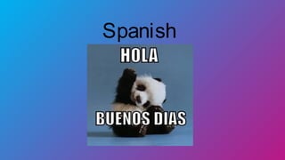 Spanish
 
