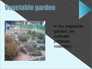 Vegetable garden

               In the vegetable
               garden, we
               cultivate
               potatoes,
               rosemary, …
 