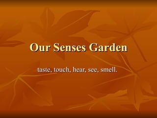 Our Senses Garden
 taste, touch, hear, see, smell.
 
