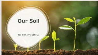Our Soil
BY PRANVI SINHA
 