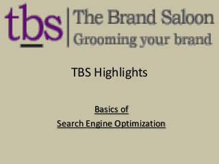 TBS Highlights
Basics of
Search Engine Optimization
 