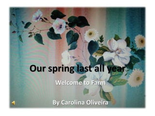 Our spring last all year
      Welcome to Farm

     By Carolina Oliveira
 