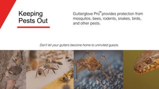 GutterGlove PRO - Best Gutter Guards, Best Price, Hands Down | PDF