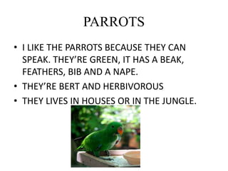 PARROTS
• I LIKE THE PARROTS BECAUSE THEY CAN
SPEAK. THEY’RE GREEN, IT HAS A BEAK,
FEATHERS, BIB AND A NAPE.
• THEY’RE BERT AND HERBIVOROUS
• THEY LIVES IN HOUSES OR IN THE JUNGLE.
 