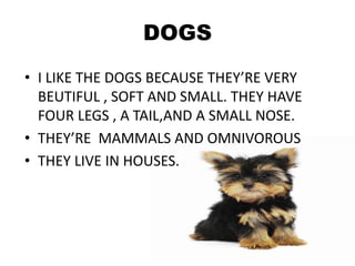 DOGS
• I LIKE THE DOGS BECAUSE THEY’RE VERY
BEUTIFUL , SOFT AND SMALL. THEY HAVE
FOUR LEGS , A TAIL,AND A SMALL NOSE.
• THEY’RE MAMMALS AND OMNIVOROUS
• THEY LIVE IN HOUSES.
 