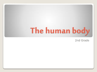 The human body 
2nd Grade 
 
