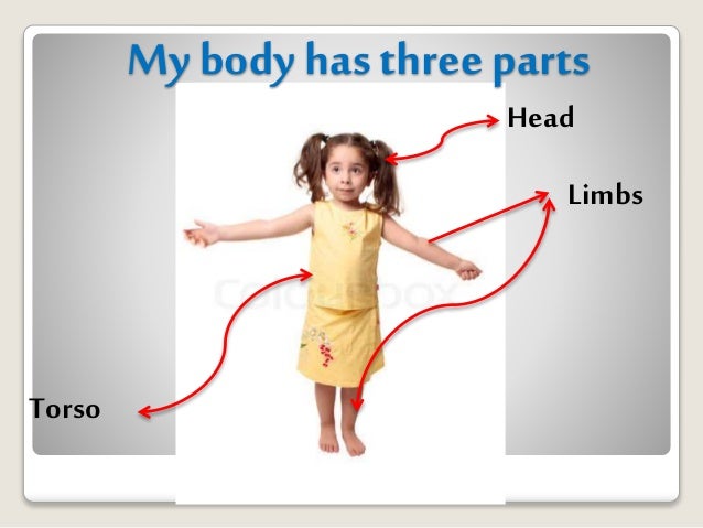 Our Three Body Parts joints 1 Our Three Body Parts joints 1