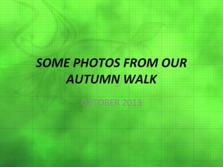 SOME PHOTOS FROM OUR
AUTUMN WALK
OCTOBER 2013

 