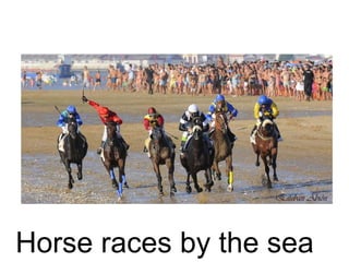 Horse races by the sea
 