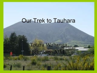 Our Trek to Tauhara Totara Wahanga February 2011 