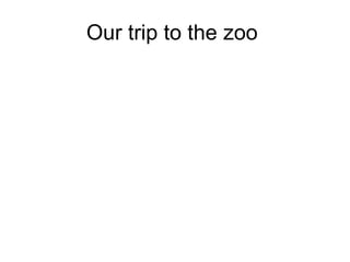 Our trip to the zoo  