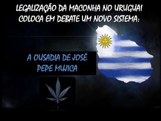 LEGALIZAÇÃO DA MACONHA NO URUGUAI
COLOCA EM DEBATE UM NOVO SISTEMA:

A OUSADIA DE JOSÉ
PEPE MUJICA

 