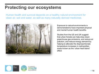 The Health Benefits of Climate Action | PPTX
