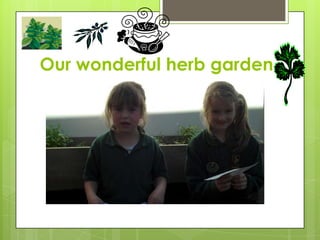 Our wonderful herb garden
 