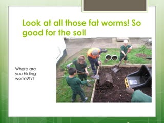 Look at all those fat worms! So
good for the soil
Where are
you hiding
worms??!
 