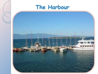 The Harbour 