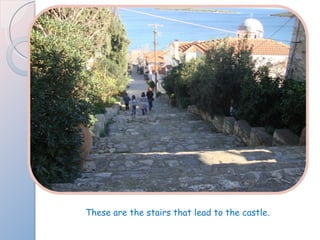 These are the stairs that lead to the castle. 