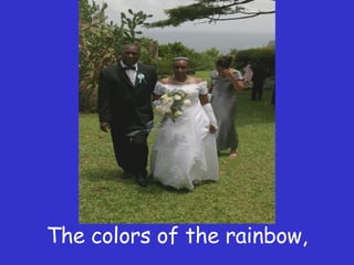 The colors of the rainbow, 